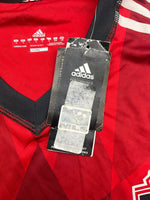 2013/14 Toronto Home Shirt (L) 9/10