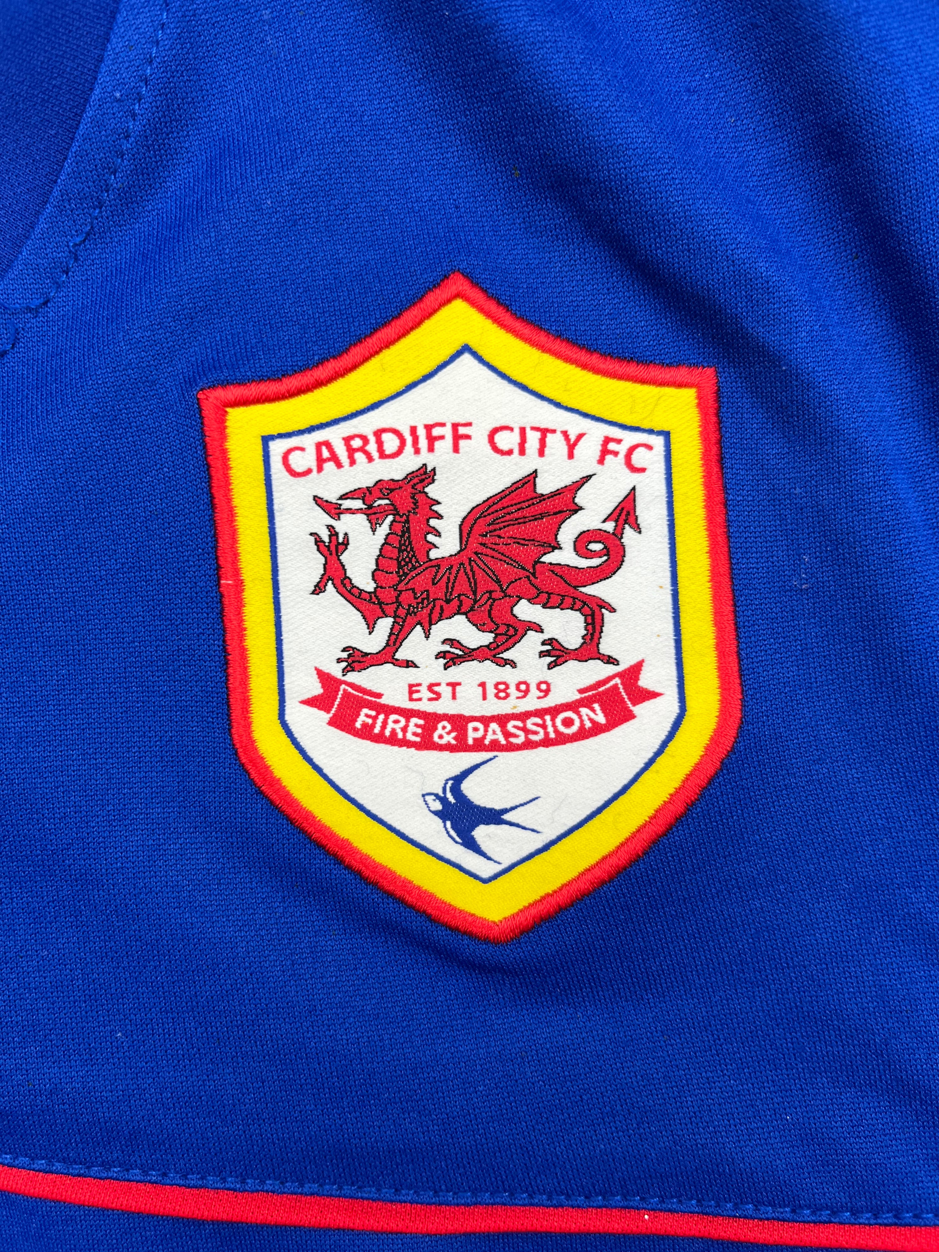 Maillot extérieur Cardiff City 2013/14 (L) 6,5/10