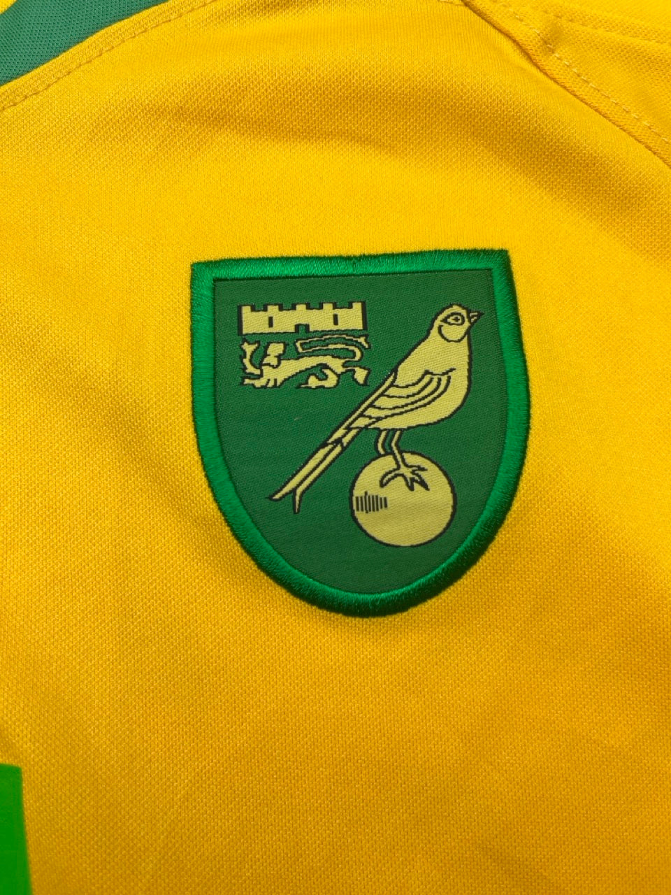 2008/09 Norwich Home Shirt (L) 9/10