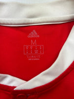 2018/20 Wales Home Shirt (M) 9/10