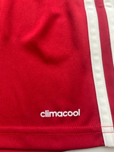 2017 New York Red Bulls GK S/S Shirt (S) 9/10